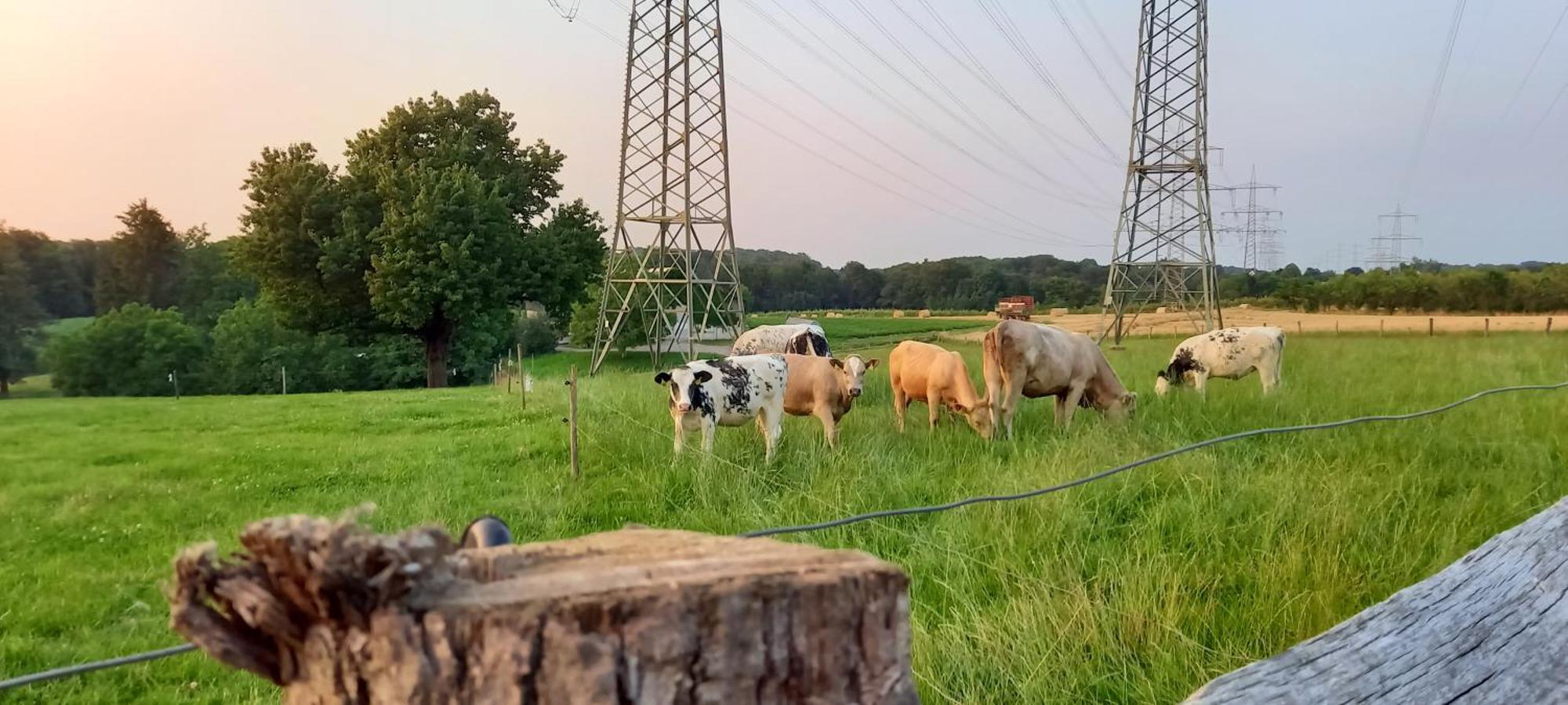 Bauernhof Sesterhenn Leichlingen Luaran gambar