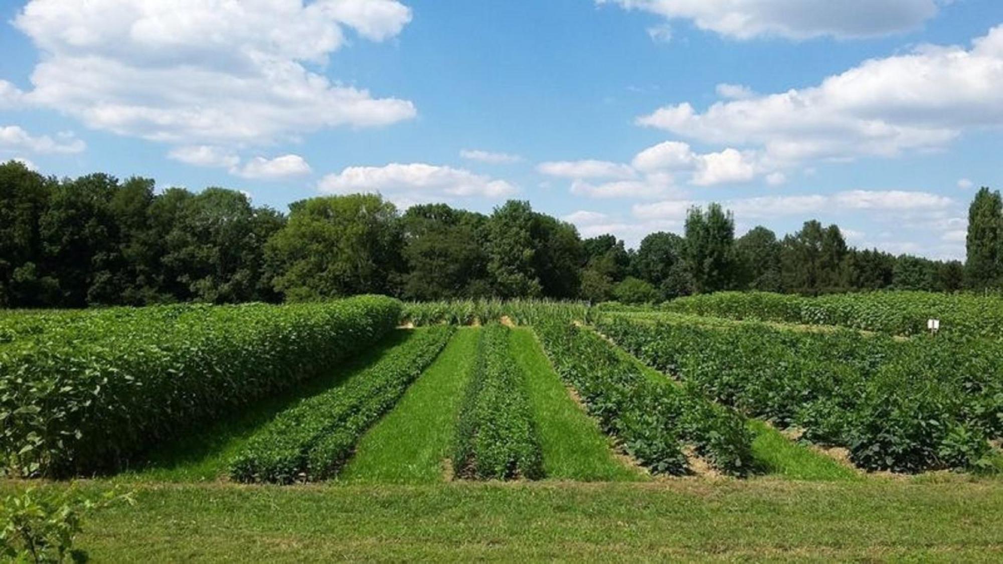 Bauernhof Sesterhenn Leichlingen Luaran gambar