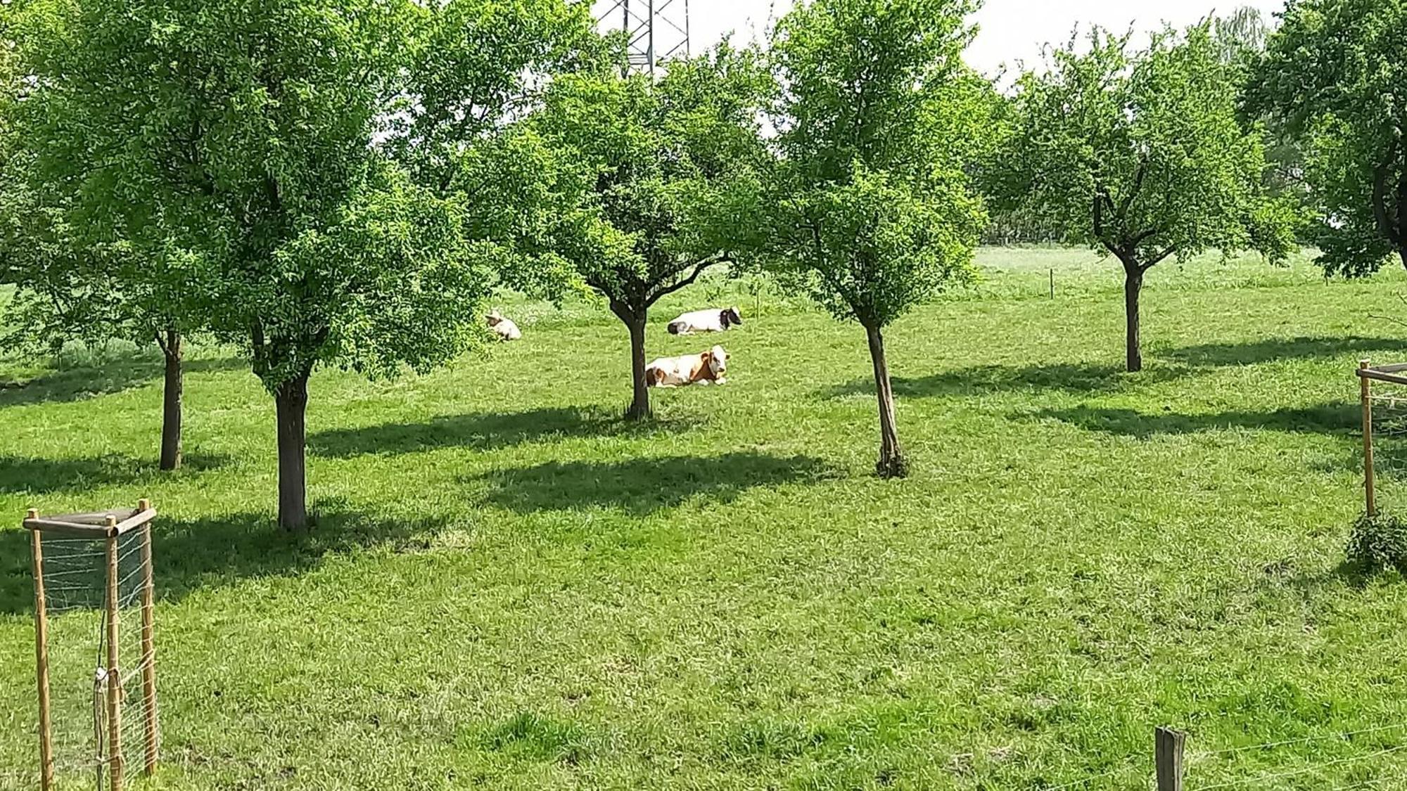 Bauernhof Sesterhenn Leichlingen Luaran gambar